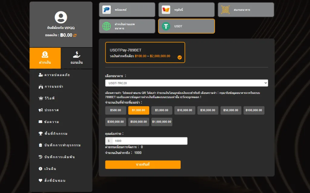 deposit - USDT 01